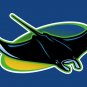 Tampa Bay Rays Flag 3'x5' Banner brass metal holes Rays Flag
