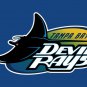 Tampa Bay Rays Flag 3'x5' Banner brass metal holes Rays Flag