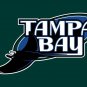 Tampa Bay Rays Flag 3'x5' Banner brass metal holes Rays Flag