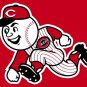 3x5ft Cincinnati Reds flag custom flag