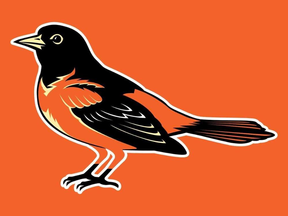 3X5FT durable Custom Sport Baseball Flag Baltimore Orioles flag