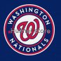 Washington Nationals flag 3ftx5ft Banner 100D Polyester Flag metal Gro