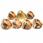 7pc Lakers ring  Championship Ring