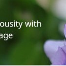 Cultivate curiosity with every page 2