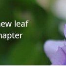 Turn over a new leaf with each chapter 2