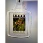 Jurassic Park Film Cell keyring keychain memorabilia collectible 35mmm key ring