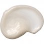 Burts Bees Truly Glowing Night Cream - Dry Skin Unisex 1.8 oz, White