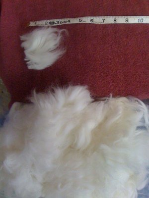 White Prime German Angora Wool
