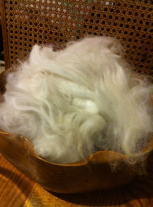 Sable angora wool by the ounce.