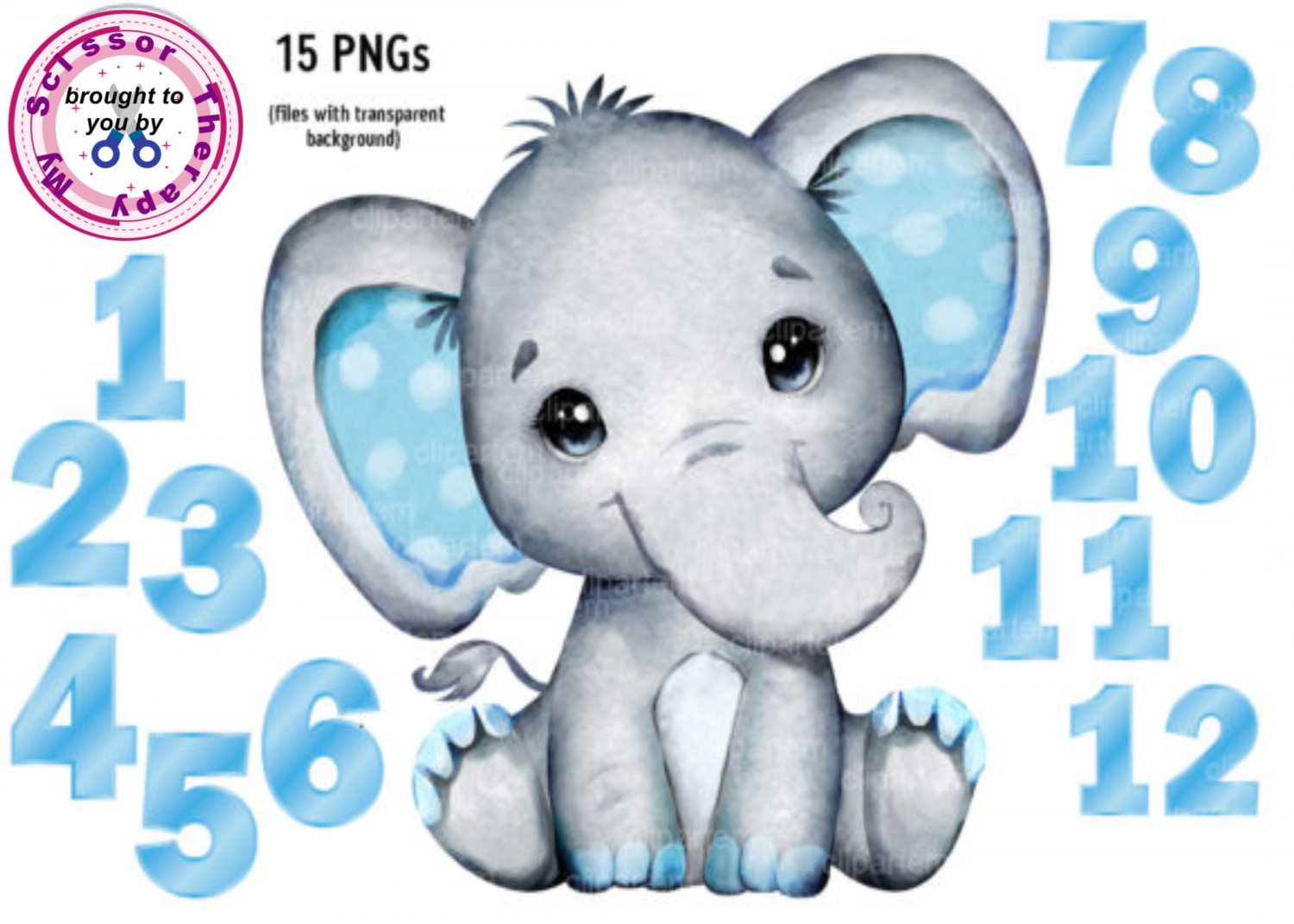 Elephant Boy Birthday Number  Instant Download 1242