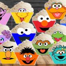 Sesame Street Cupcake Wrappers & Toppers Instant Download