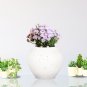 SOGA 21x22cm Plain White Small Ceramic Flower Vase Elegant Living Room Home Decor