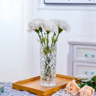 SOGA 14x30cm Heavy Duty Glass Vase Crystal Clear Design for Home Décor SOGA 14x30cm Heavy Duty Glass Vase Crystal Clear Design for Home Décor