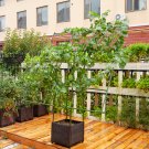 SOGA 160cm Rectangular Inclined Plant Frame Tube Pergola Trellis Vegetable Flower Herbs Garden Rack SOGA 160cm Rectangular Inclined Plant Frame Tube Pergola Trellis Vegetable Flower Herbs Garden Rack