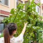 SOGA 160cm Rectangular Inclined Plant Frame Tube Pergola Trellis Vegetable Flower Herbs Garden Rack