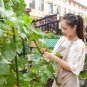 SOGA 160cm Rectangular Inclined Plant Frame Tube Pergola Trellis Vegetable Flower Herbs Garden Rack