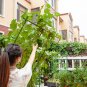 SOGA 160cm Rectangular Inclined Plant Frame Tube Pergola Trellis Vegetable Flower Herbs Garden Rack