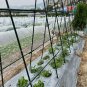 SOGA 120X90cm Plant Frame Tube Trellis Vegetable Flower Herbs Outdoor Vine Adjustable Garden Rack