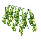 SOGA 150X90cm Plant Frame Tube Trellis Vegetable Flower Herbs Outdoor Vine Adjustable Garden Rack