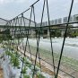 SOGA 150X90cm Plant Frame Tube Trellis Vegetable Flower Herbs Outdoor Vine Adjustable Garden Rack