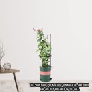 SOGA 73cm 4-Bar Plant Frame Stand Trellis Vegetable Flower Herbs Outdoor Vine Garden Rack with Rings SOGA 73cm 4-Bar Plant Frame Stand Trellis Vegetable Flower Herbs Outdoor Vine Garden Rack with Rings