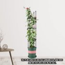 SOGA 133cm 4-Bar Plant Frame Stand Trellis Vegetable Flower Herbs Vine Garden Rack with Rings SOGA 133cm 4-Bar Plant Frame Stand Trellis Vegetable Flower Herbs Vine Garden Rack with Rings
