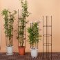 SOGA 163cm 4-Bar Plant Frame Stand Trellis Vegetable Flower Herbs Vine Garden Rack with Rings