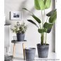 SOGA 27cm Weathered Grey Round Plant Flower Pot in Cement Planter Cachepot for Indoor Home Office