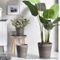 SOGA 32cm Rock Grey Round Plant Flower Pot in Cement Planter Cachepot for Indoor Home Office
