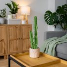 SOGA 95cm Green Artificial Indoor Cactus Tree Fake Plant Simulation Decorative 2 Heads