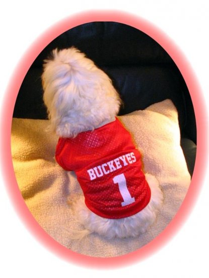 Ohio State University OSU Buckeyes Deluxe NCAA Football Dog Jersey 5X Size