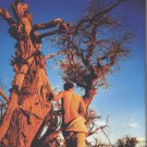 Desert Photography Art