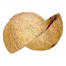 4pcs Coconut Shell Halves Eco-Friendly Ceylon 100% Natural Coconut Shell Halves Organic
