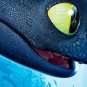Wall Mural Train Your Dragon, Movie, Photo Wallpaper Kids Bedroom Decor w118" x h91"