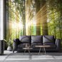 Wall Mural Morning Rays of the Sun in the Forest, Photo Wallpaper Room Home Decor