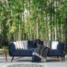 Photo Wallpaper Forest, Birch Grove, Trees, Nature Wall Mural Room Home Decor