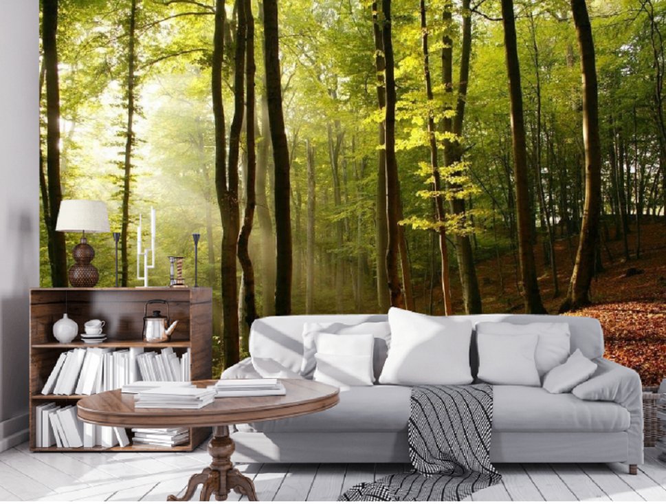 Wall Mural Hilly Forest Landscape, Nature, Photo Wallpaper for Bedroom Home Decor