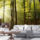Wall Mural Hilly Forest Landscape, Nature, Photo Wallpaper for Bedroom Home Decor