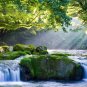Wall Mural Mountain River, Forest, Waterfall, Nature, Photo Wallpaper Room Decor
