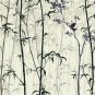 Photo Wallpaper Bamboo Forest in the Mist, Panda on a Tree, Wall Mural Room Decor
