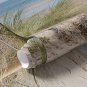 Wall Mural Path to the Sandy Beach, Ocean, Sea, Photo Wallpaper for Room Decor, Murals
