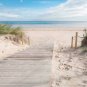 Wall Mural Path to the Sandy Beach, Ocean, Sea, Photo Wallpaper for Room Decor, Murals