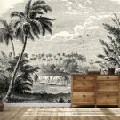 Wall Mural Black White Jungle, Waterfall, Palms, Photo Wallpaper for Room Decor, Murals