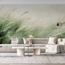 Wall Mural Tall Field Grass in the Morning Mist, Photo Wallpaper for Room Home Decor, Murals
