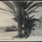 Vintage Postcard France, Nice - Promenade du Midi, post card 1900's