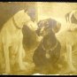 Vintage Postcard Imperial Russia - Fedot, yes, not that one, post card 1900's