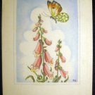Vintage Postcard Germany - Artist's Drawing, Flowers, post card 1930's
