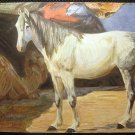 Vintage Postcard, Art Study Horse, post card 1900's