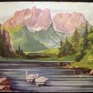Vintage Postcard Hungary - Nature, Mountains, Forest, Lake, Swans, Hut, post card 1900's