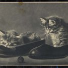 Vintage Soviet Postcard, Cute Kittens, Russian post card 1956